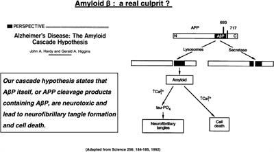Implication of the cooking oil-peroxidation product “hydroxynonenal” for Alzheimer’s disease